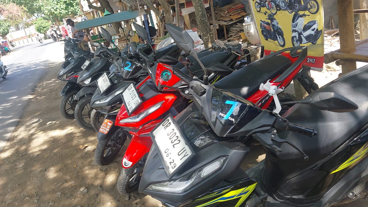 Loy's Scooter Fleet